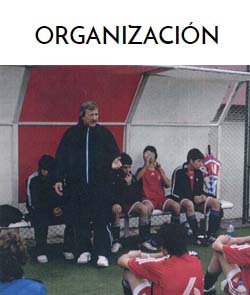 Organizacion